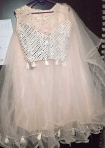 Beautiful Sequined Lehenga Choli