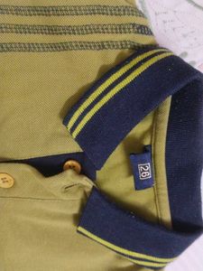 Olive Green Polo Shirt