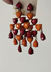 Exotic Heart Earings