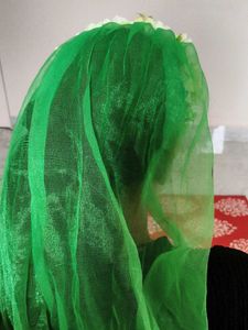Green Dupatta with Floral Embellishments