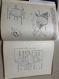 Sea Snails of Pondicherry Book