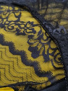 2012 -- Transparent Lace Trim pan