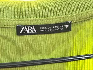 Zara Long Sleeve V Neck Crop Top