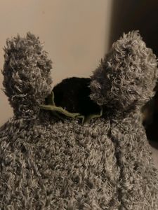 Large 50 Cm Totoro Plush With Dust Bunny On Top
