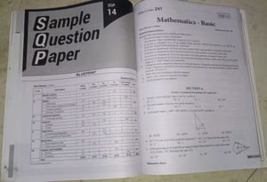15 sample papers CBSE for mathematics basic class