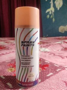 Spray Paint Bottle
