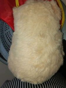 Soft Teddy Bear Plush Toy