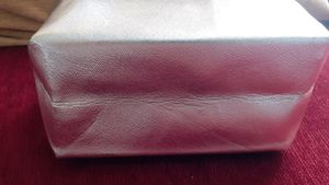 Silver Shade Make Up Pouch