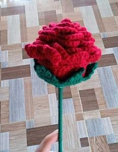 Reversable Crochet Doll