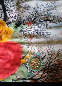 BEAUTIFUL SAREE