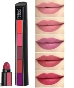 5-in-1 Lipstick - Perfect Pout
