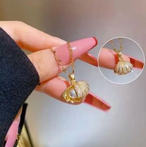 Shell Pendant Necklace