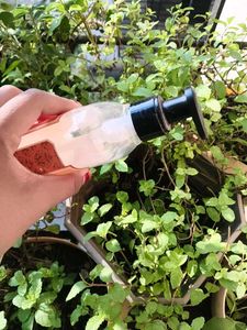St. D'vence Body Lotion