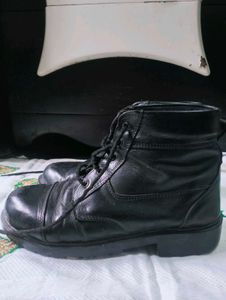 DMS