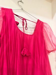 3D Stunning Pink Feather Gown