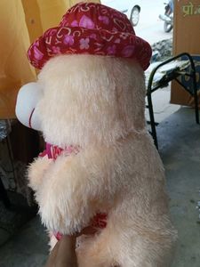 Cute Teddy Bear with Heart Hat