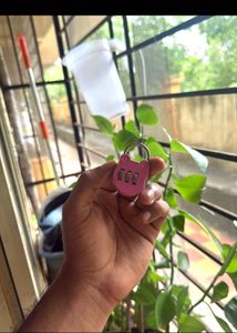 Cute Pink Frog Combination Lock