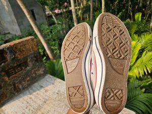 Converse Chuck Taylor All Star Sneakers