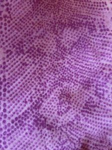 Purple Patterned Top