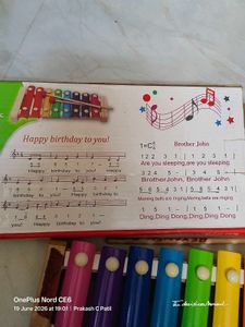 Colorful Musical Xylophone Age 3+