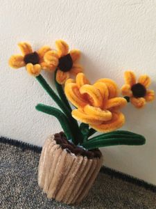 Handmade Pipe Cleaner Flower Pot