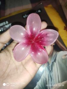 2 combo Cute Flower Hair Claw Clips