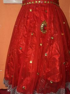 Stunning Red Embellished Skirt