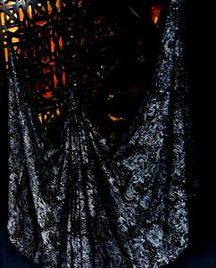 Elegant Black brasso boutique saree.