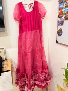 3D Stunning Pink Feather Gown