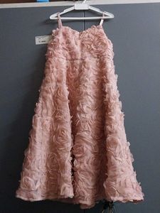 Rose Applique Party Dress