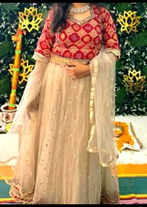 Elegant Lehenga Choli