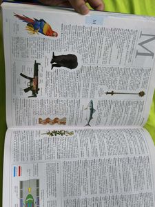 illustrated OXFORD dictionary