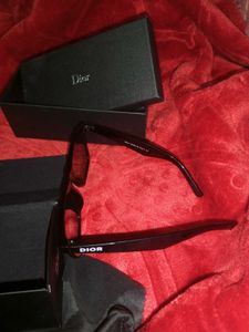 Dior Unisex Sunglasses