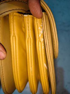 Tan Crossbody Exotic Bag with Silver Clasp
