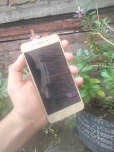 vivo y53 (old model) Badshah Combo LCD Screen