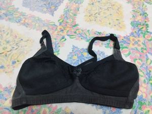Light Paded Cotton with Net Bra