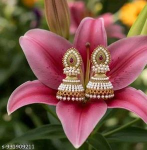 Exquisite Pearl &amp; Stone Jhumka Earrings