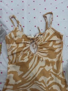 H&amp;M Zebra Print Mini Dress