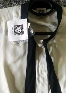 Elegant Bow Tie Blouse