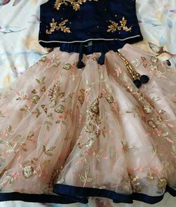 Embroidered Lehenga Choli Set