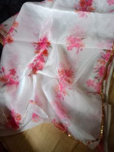 Floral Print saree with designer blouse