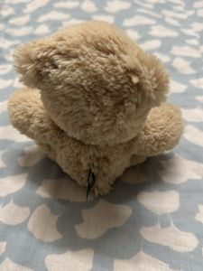 Cute Small Teddy Bear