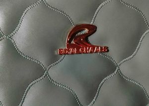 women's sling bag (new without tag)