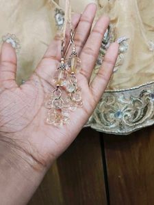 Embroidered Saree