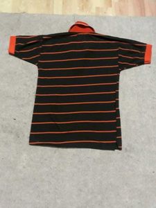 Striped Polo T-Shirt