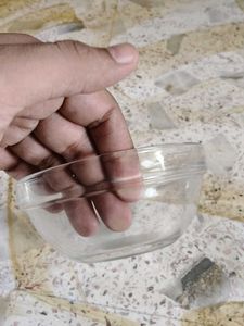 Clear Glass Serving Bowl
