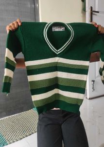 Green Striped V-Neck Sweater