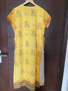 Biba Women’s Layered Kurta (38)xl