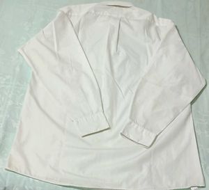 Men's Van Heusen Dress Shirt