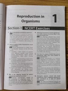 NCERT class 12 biology solution exercises+exemplar